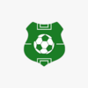 fantasy football manager (fpl) android application logo